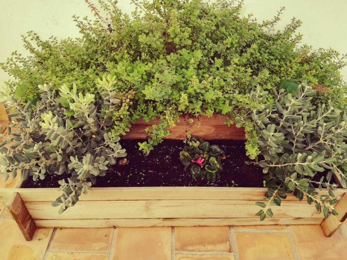 Encantadora Casita En Ferienhaus Palma
